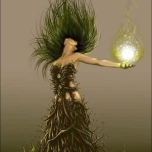 Meet your Posher, Lemar